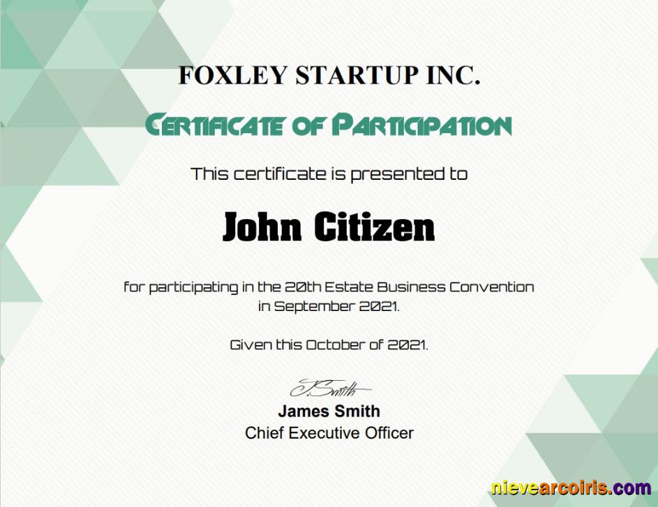 USA Participation certificate